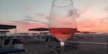 Vino, allarme Uiv: “Domanda supera offerta, si rischia un crollo dei prezzi”