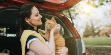 Sette consigli utili per viaggiare con il tuo gatto