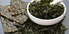 Alghe marine, un aiuto per cuore e intestino. E sono una risorsa per l’ambiente