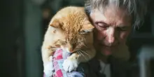 “Vivere con un cane o un gatto in casa rallenta l’invecchiamento del cervello umano”