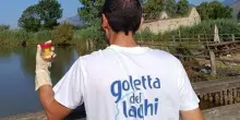 Microplastiche, nel lago d’Orta rilevati 17 polimeri differenti