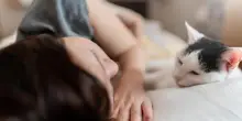 Sei in crisi creativa? Prova con un sonnellino