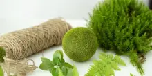 Kokedama: cos’è e come prendersi cura delle piante senza vaso