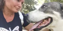 Il cane eroe Asia ha salvato due volte la sua proprietaria da uno stalker, poi è stato avvelenato