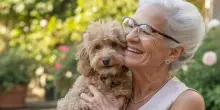 Dopo una vita per gli altri, a 80 anni Lia si regala la compagnia del cane Ron e pensa al suo futuro