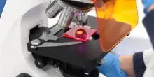 Da Pisa arriva il nuovo pannello fotovoltaico in plastica trasparente, colorato e riciclabile