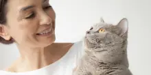 Pet sitter per gatti: tutte le cose da considerare quando noi non ci siamo