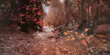 Passeggiare dentro “Le quattro stagioni” di Vivaldi durante la chemio. Con la realtà virtuale