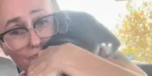 Adotta Sarah e immortala l’esatto momento in cui il cane capisce di essere finalmente al sicuro