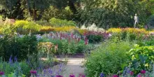 Benvenuti nel Carbon Garden di Londra