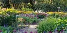 Benvenuti nel Carbon Garden di Londra