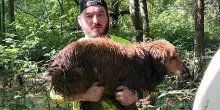 “Ho ritrovato il mio cane, ma mi sono perso”, la lunga notte nei boschi di Steven e dell’amato Baxter