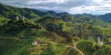 Follador, la famiglia che dal 1769 custodisce e fa crescere le colline del Prosecco