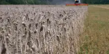 Earth Overshoot Day, abbiamo consumato tutte le risorse naturali del Pianeta