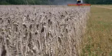 Earth Overshoot Day, abbiamo consumato tutte le risorse naturali del Pianeta