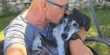 Addio a Pimpa, il cane “spaziale” che trovò un meteorite e a cui dedicarono un asteroide