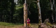 Quando il Parco diventa un museo a cielo aperto