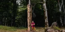 Quando il Parco diventa un museo a cielo aperto