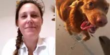 Viaggiare con il proprio cane è davvero un problema? Le risposte della veterinaria