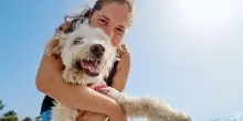 Quanto sei preparato sul modo corretto di viaggiare con il tuo cane? Scoprilo con questo quiz