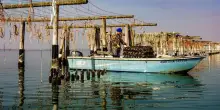 Delta del Po veneto: viaggio in 7 tappe tra i sapori di un territorio anfibio