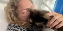 Ricoverata in ospedale sente la mancanza del gatto, le figlie fanno qualcosa che non tutti apprezzano