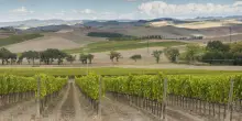 Montalcino, il Premio Casato Prime Donne a Darya Majidi, esperta di intelligenza artificiale