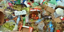 Spreco alimentare: le strategie di 21 scienziati per salvare un’area più grande dell’Africa