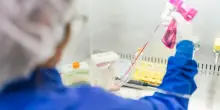 Una nuova terapia cellulare contro il glioblastoma
