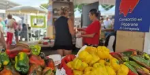 Dai peperoni alla mozzarella di bufala fino ai segreti della longevità: gli eventi da non perdere