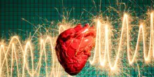Infarto, non c’entra (solo) il colesterolo. Colpa di un’infezione