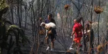Incendi, ondate di calore e prezzi alle stelle: dobbiamo ripensare l’idea delle vacanze estive?