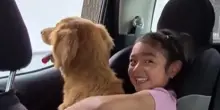 Le lacrime di Sofia e il balzo inaspettato di Canela, il cane che si è adottato da solo