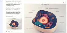 Google porta Gemini a scuola: come funziona Guided Learning, l’IA per studiare