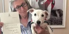 Il cane cucciolo Chloe salva la sua proprietaria 71 enne e riceve una lettera dalla regina Camilla