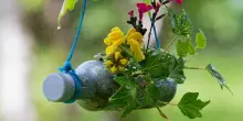 Riciclo creativo: creare vasi con oggetti da buttare