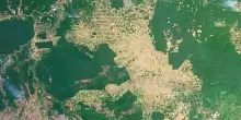 Amazzonia in crisi: tra deforestazione e una COP30 piena di guai