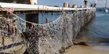 Le reti anti squalo dividono l’Australia
