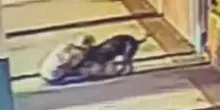 Una donna di 70 anni morde un Pit Bull al collo per salvare il suo cane da un brutale attacco