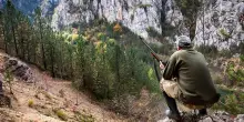 Via libera al ddl Montagna: riaperti i valichi alla caccia e previsto l’abbattimento dei lupi