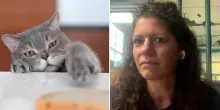Cosa deve mangiare un gatto? Consigli e miti da sfatare: la parola all'esperto