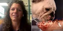 Alimentazione del cane, quali sono gli errori più comuni? Le risposte della veterinaria