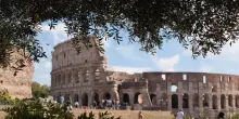 Così l’Italia dell’olio conquista il mondo