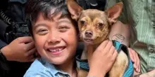 Cercano per 13 mesi il cane Peach, poi decidono di commemorarne la morte. Una telefonata cambia tutto