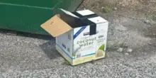 Una scatola per l’acqua di cocco lasciata in un parcheggio nasconde quattro occhi bisognosi d’aiuto