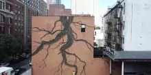 A New York l'ecomurale per il clima: radici sui palazzi con la vernice che assorbe CO2