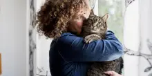 Cosa succede al nostro cervello (e al loro) quando conviviamo con un gatto