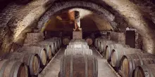 Nel regno dell’Aglianico: è il Vulture la “Città del vino 2026”