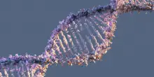 Identificate nuove varianti genetiche rare legate alla Sma, miglioreranno diagnosi e terapie