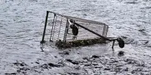 I carrelli della spesa abbandonati inquinano. Ecco perché